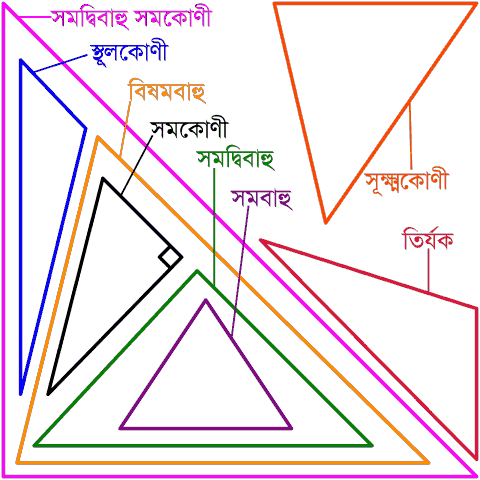 সব ধরণের ত্রিভুজ নিয়ে একটি চিত্র