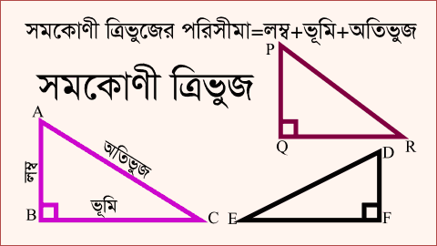 সমকোণী ত্রিভুজের পরিসীমা নির্ণয়ের চিত্র, যেখানে লম্ব, ভূমি ও অতিভূজ দেখিয়ে পরিসীমা = লম্ব + ভূমি + অতিভূজ সূত্র ব্যাখ্যা করা হয়েছে